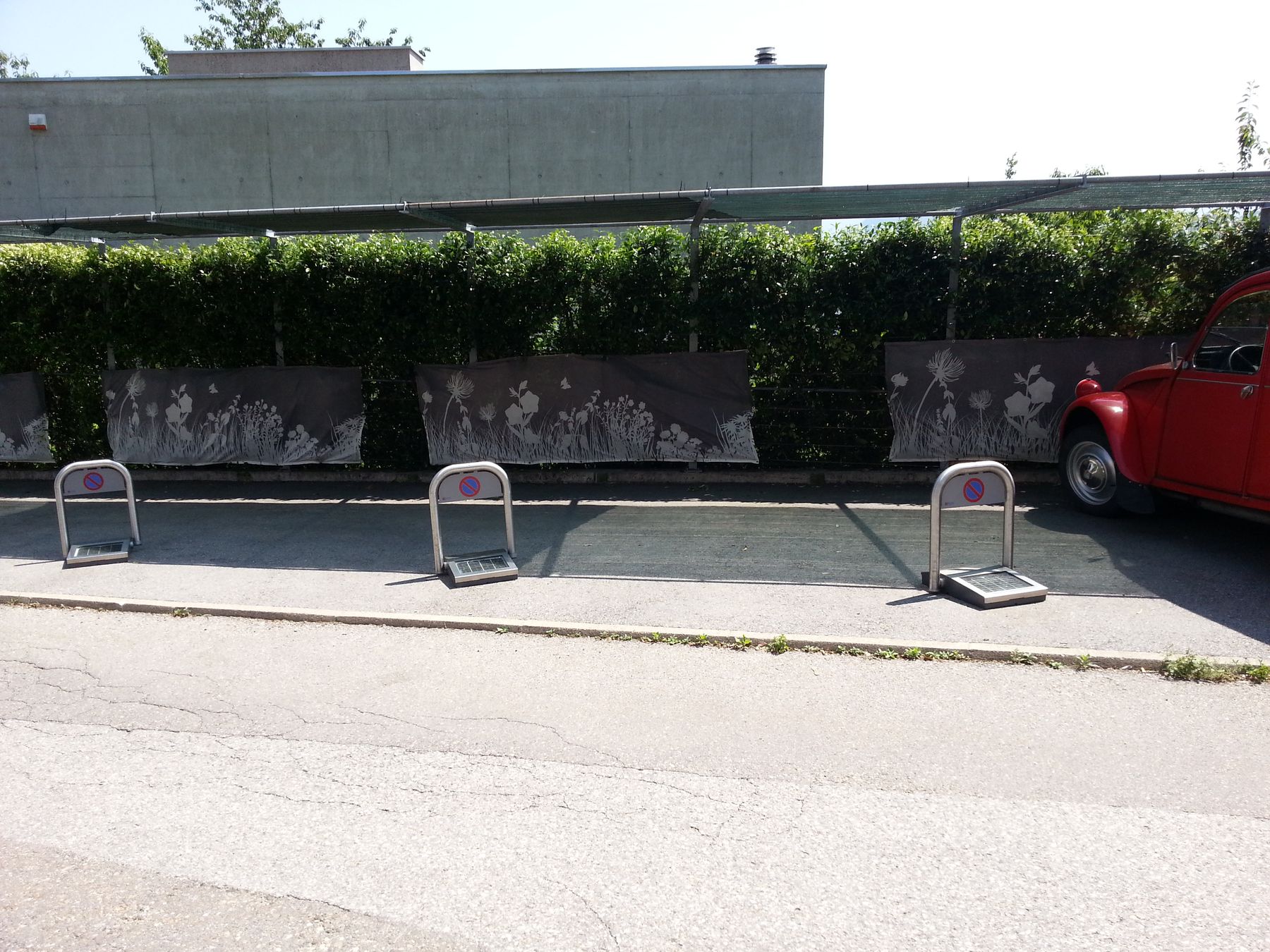 Dissuasori di parcheggio davanti a una siepe